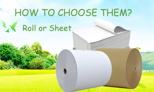 捲筒紙 vs 片狀紙:哪一種比較適合您的紙杯生產線?