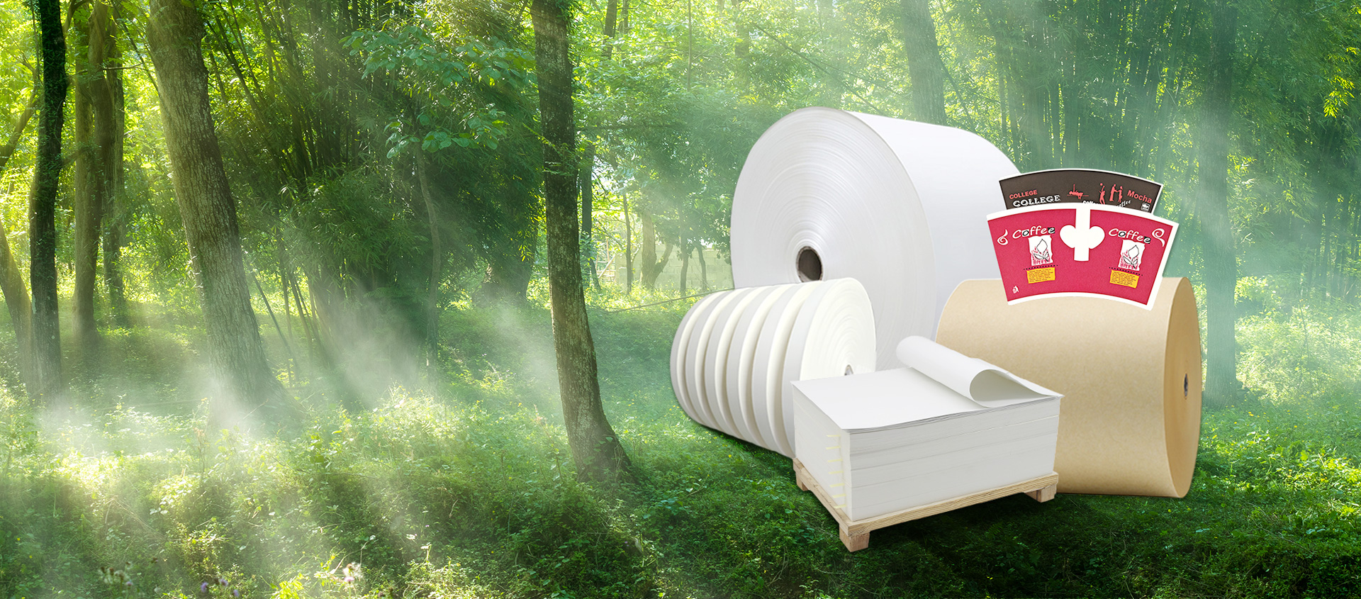 Paper Cup Raw Material