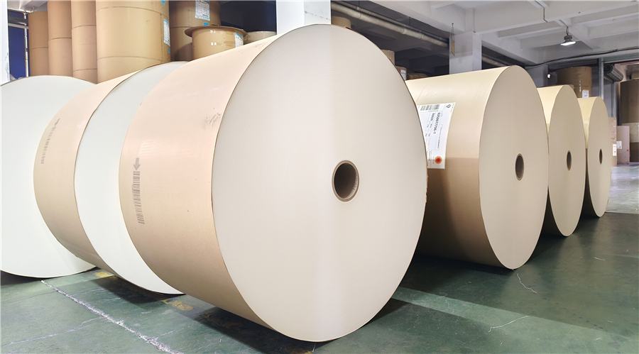 用於紙杯的創新PE塗層紙引領環保潮流