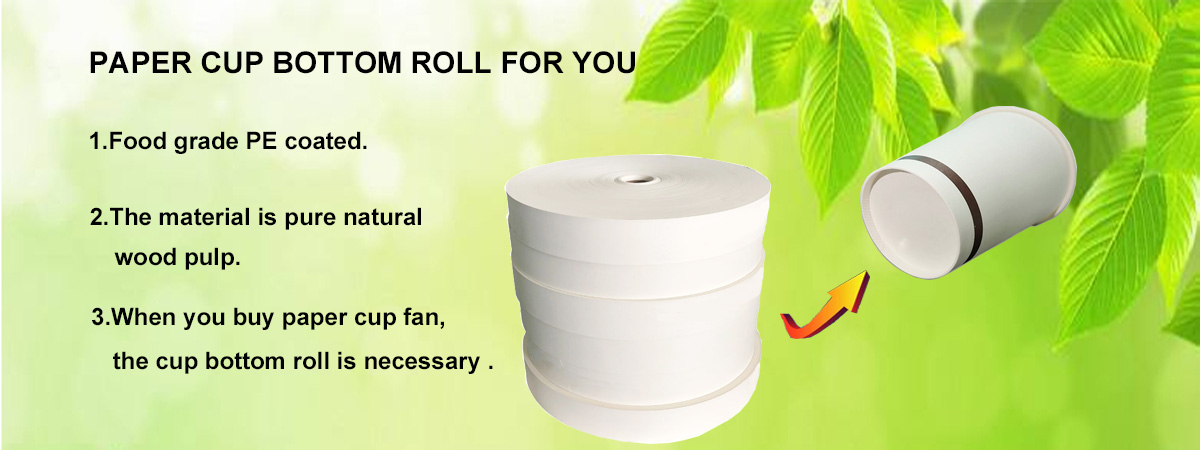 為什麼紙杯底部紙張很重要:可靠紙杯的基礎
