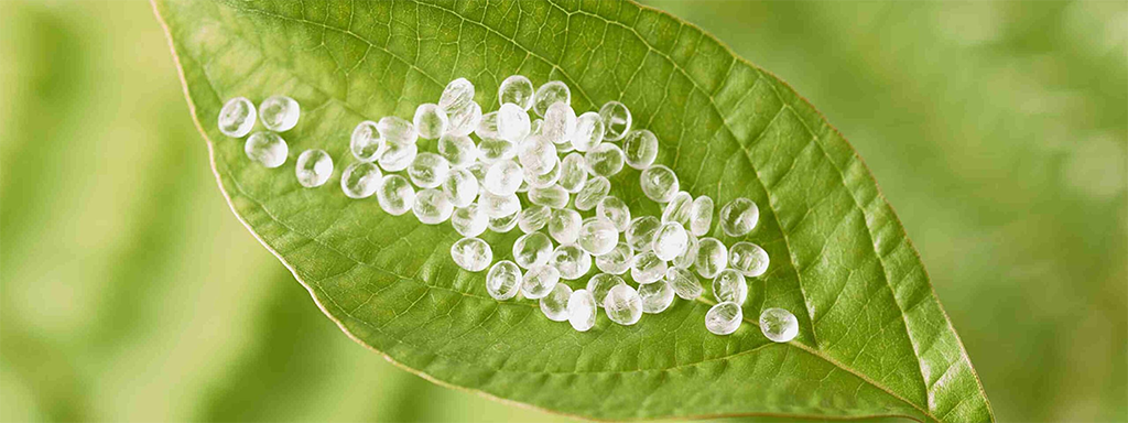 PE Coated Paper vs PLA Coated Paper: Which Is Right for Your Business