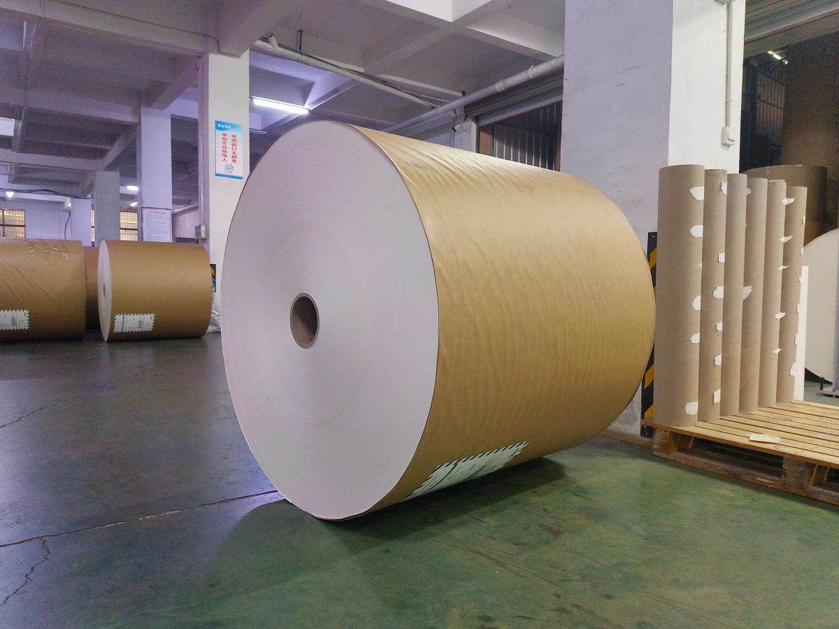 PE塗佈紙與PLA塗佈紙:主要區別及哪種更適合您