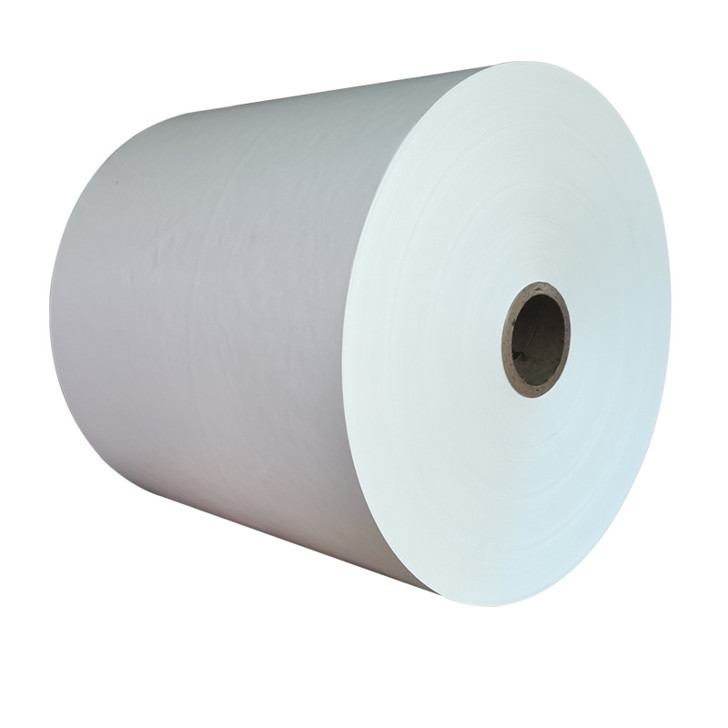 PE COATED PAPER ROLL (14).jpg