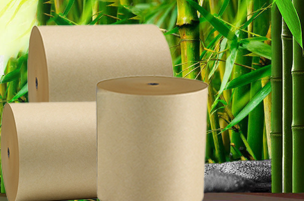 什麼是竹漿:探索環保包裝材料的未來